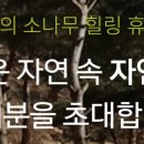 자연밸리 관광농원 이미지