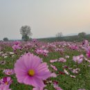 가을 향기 기다리는 마음 이미지