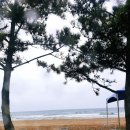 홍익펜션 이미지