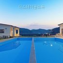 더스테이 골드독 네이버블로그