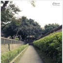 대지화원 - 은평구 가좌로 210 | 대지화원