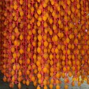 선인농장 이미지