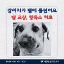 리엔동물의료센터 이미지