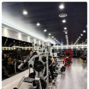 카인드 휘트니스 이미지