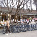 등나무집민박 이미지