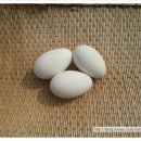 오향골농장 이미지