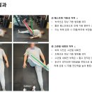 근육연구소 - 성남시 분당구 판교역로 109 | 근육연구소