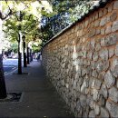 덕수궁길 이미지