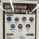 호텔 브릿지 이미지