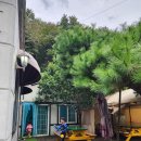 위클리키즈풀빌라펜션 이미지