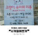 사계절 예쁘개 | 영암 삼호☁️첫 방문 &#34;사계절예쁘개&#34; 반려견/반려묘/무마취샵