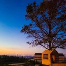 가온재 애월 이미지