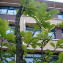 우림초등학교 이미지