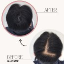 수원-1463 이미지