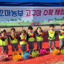 거제시농업개발원 이미지