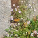 이천농장 | 울산 간월산 이천리코스 사슴농장코스 (사슴 나옴) 초보자 등산 후기 :)