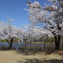 호수공원 이미지