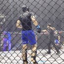 프로체육관 이미지