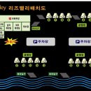 [공지] 가평 유명산 어비계곡 글램핑 리즈밸리글램핑펜션 물고기 잡기 최고