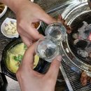 돈차돌 이미지