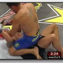 UFC 체급별 피니쉬율 ( 서브미션,Tko) 이미지