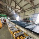 천금농장 이미지