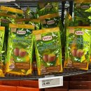 로사나관광호텔 | 2월 16일-19일 일상