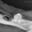 태백동물병원 이미지