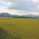 망경산성 이미지