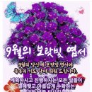 9월에 보랏빛 엽서 이미지