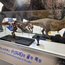 보드카페복실이