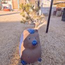 편백하우스 | 내돈내산촌캉스 에어비앤비 이색편백하우스 방문후기