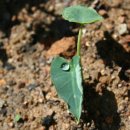 화개우체국 이미지