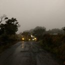 모리의숲민박 이미지