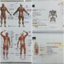 재인필라테스 | 필라테스 강사 자격증 퇴사후 도전한 후기