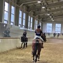 신경주대학교 승마장 이미지