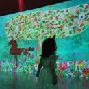 빛의 벙커 (제주 성산 AMIEX 전시관) | 제주 동쪽 가볼만한 곳! 900평 빛의 벙커 솔직 후기, 제주 미디어아트 여기가 진짜였어?