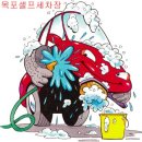 목포셀프세차장 이미지