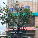 이촌 브리오슈 | [용산/이촌] 누오바 이탈리아, 서울에서 찐 이탈리아의 향기를 느낄 수 있는 곳