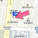 정언내과의원 티스토리