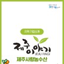 제주농수산 이미지