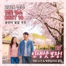 남정타워 | 2026 경주 벚꽃 시기 실시간 알리미부터 실패 없는 인생 명소 추천까지!