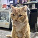 CU 관악푸르지오점 이미지