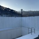 스테이 티모가