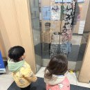 시민회관(앞) | 과천 시민회관 신데렐라 연극 후기 아이랑 보기 좋은 어린이 공연 추천