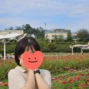 한올SMP | 남양주 두피 탈모커버 나두샵 smp 만족후기