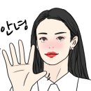 애견종합할인마트 이미지