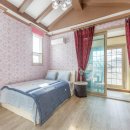 참좋은애견 이미지