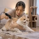 경기도 수원시 팔달구 권광로340번길 | 고양이 셀프미용 실패 후기, 원장이 직접 알려드려요!