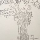 연필드로잉 이미지